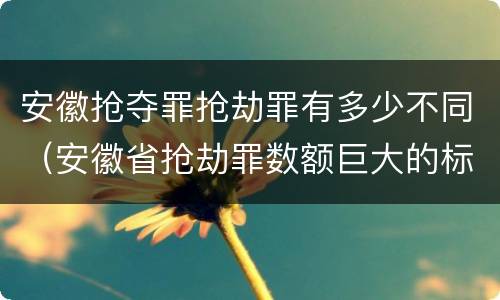 安徽抢夺罪抢劫罪有多少不同（安徽省抢劫罪数额巨大的标准）