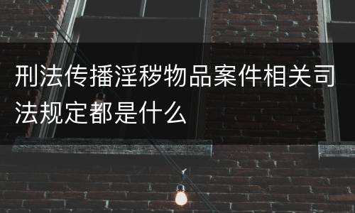 刑法传播淫秽物品案件相关司法规定都是什么