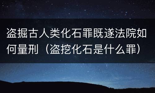 盗掘古人类化石罪既遂法院如何量刑（盗挖化石是什么罪）