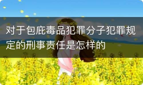 对于包庇毒品犯罪分子犯罪规定的刑事责任是怎样的