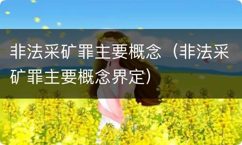 非法采矿罪主要概念（非法采矿罪主要概念界定）