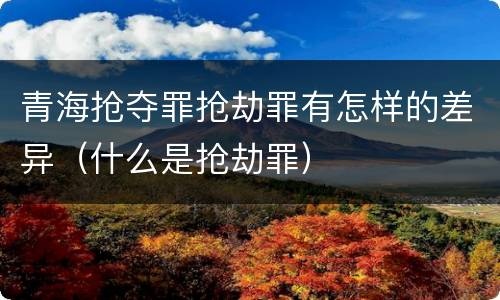 青海抢夺罪抢劫罪有怎样的差异（什么是抢劫罪）