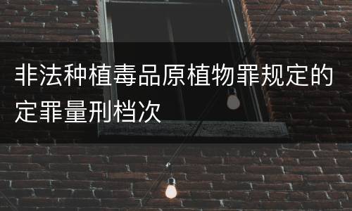 非法种植毒品原植物罪规定的定罪量刑档次