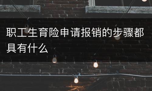 职工生育险申请报销的步骤都具有什么