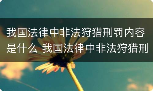 我国法律中非法狩猎刑罚内容是什么 我国法律中非法狩猎刑罚内容是什么呢