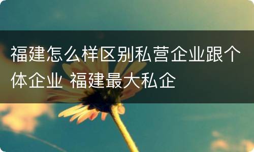 福建怎么样区别私营企业跟个体企业 福建最大私企