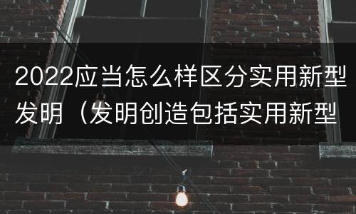 2022应当怎么样区分实用新型发明（发明创造包括实用新型吗）
