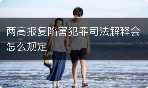 两高报复陷害犯罪司法解释会怎么规定