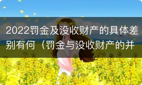2022罚金及没收财产的具体差别有何（罚金与没收财产的并罚）