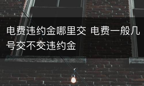 电费违约金哪里交 电费一般几号交不交违约金