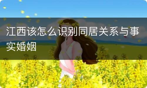 江西该怎么识别同居关系与事实婚姻