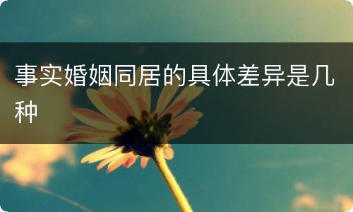 事实婚姻同居的具体差异是几种