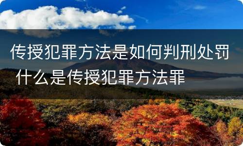 传授犯罪方法是如何判刑处罚 什么是传授犯罪方法罪