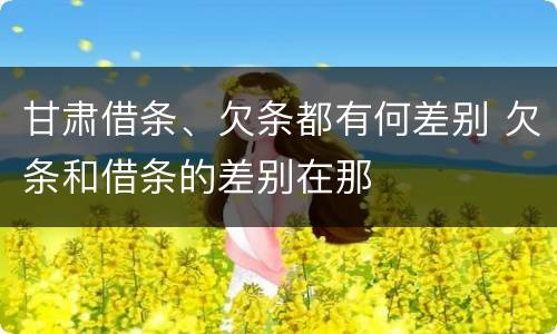 甘肃借条、欠条都有何差别 欠条和借条的差别在那
