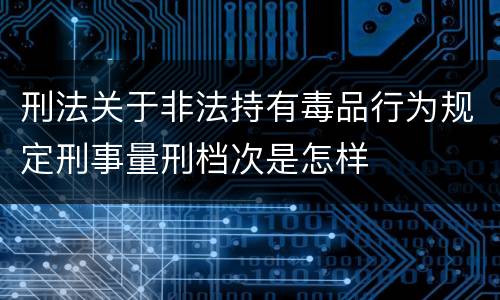 刑法关于非法持有毒品行为规定刑事量刑档次是怎样