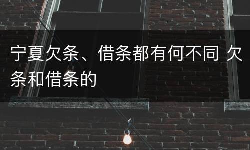 宁夏欠条、借条都有何不同 欠条和借条的