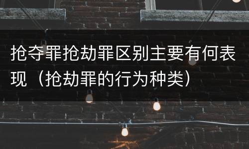 抢夺罪抢劫罪区别主要有何表现（抢劫罪的行为种类）
