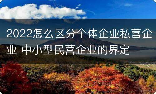 2022怎么区分个体企业私营企业 中小型民营企业的界定