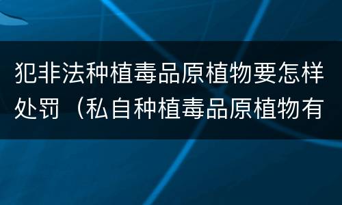 犯非法种植毒品原植物要怎样处罚（私自种植毒品原植物有什么罪?）
