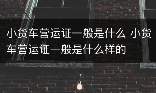 小货车营运证一般是什么 小货车营运证一般是什么样的