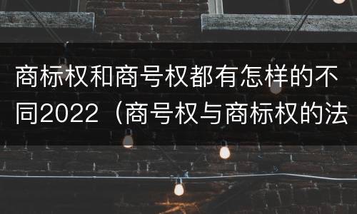 商标权和商号权都有怎样的不同2022（商号权与商标权的法律冲突与解决）