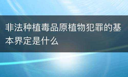 非法种植毒品原植物犯罪的基本界定是什么
