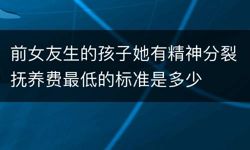 前女友生的孩子她有精神分裂抚养费最低的标准是多少