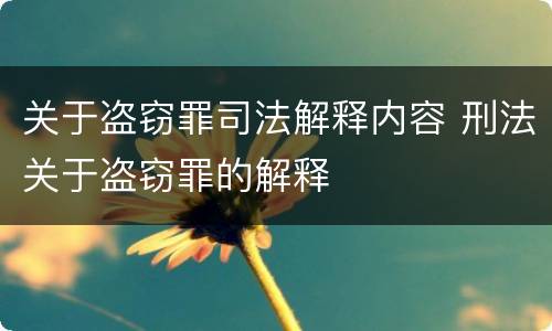 关于盗窃罪司法解释内容 刑法关于盗窃罪的解释