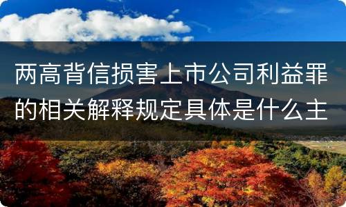 两高背信损害上市公司利益罪的相关解释规定具体是什么主要内容