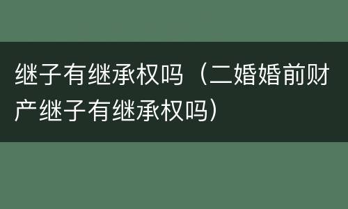 继子有继承权吗（二婚婚前财产继子有继承权吗）