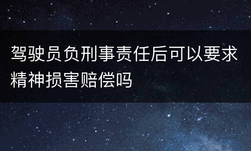 驾驶员负刑事责任后可以要求精神损害赔偿吗