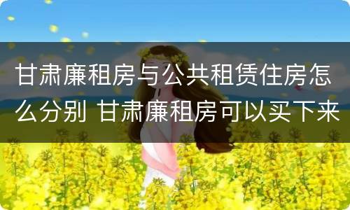 甘肃廉租房与公共租赁住房怎么分别 甘肃廉租房可以买下来属于自己吗