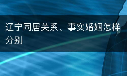 辽宁同居关系、事实婚姻怎样分别