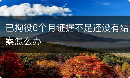 已拘役6个月证据不足还没有结案怎么办