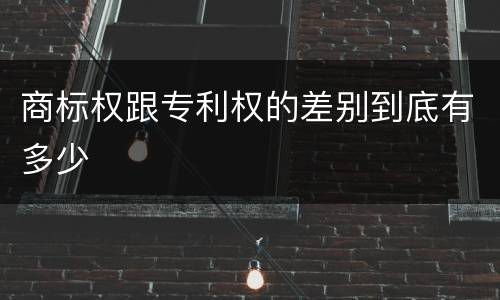 商标权跟专利权的差别到底有多少