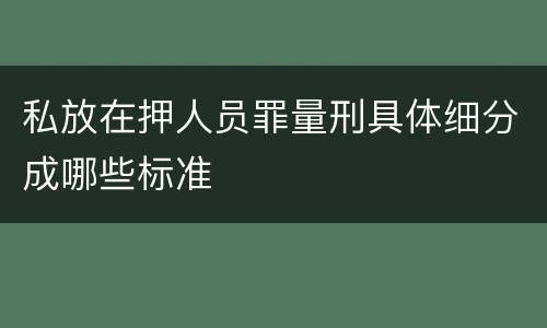 私放在押人员罪量刑具体细分成哪些标准