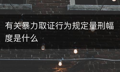 有关暴力取证行为规定量刑幅度是什么