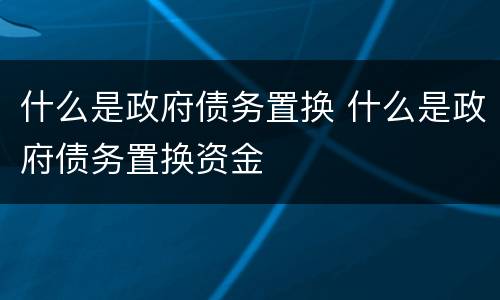 什么是政府债务置换 什么是政府债务置换资金