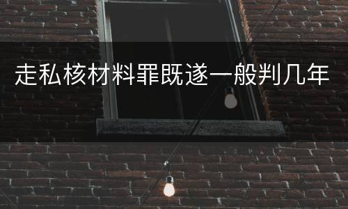 走私核材料罪既遂一般判几年