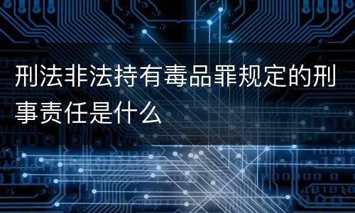 刑法非法持有毒品罪规定的刑事责任是什么