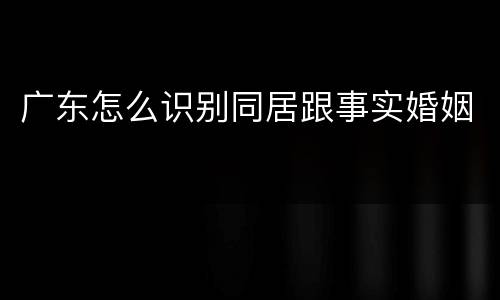 广东怎么识别同居跟事实婚姻