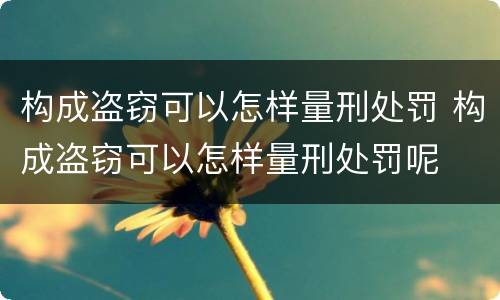 构成盗窃可以怎样量刑处罚 构成盗窃可以怎样量刑处罚呢