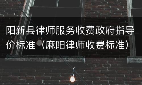 阳新县律师服务收费政府指导价标准（麻阳律师收费标准）