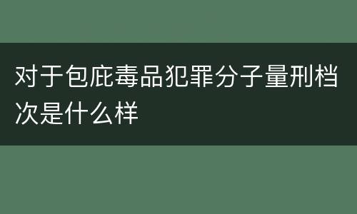对于包庇毒品犯罪分子量刑档次是什么样