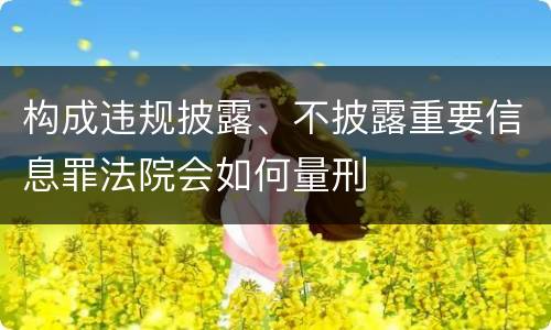 构成违规披露、不披露重要信息罪法院会如何量刑