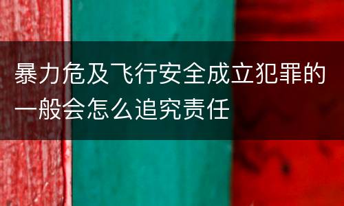 暴力危及飞行安全成立犯罪的一般会怎么追究责任