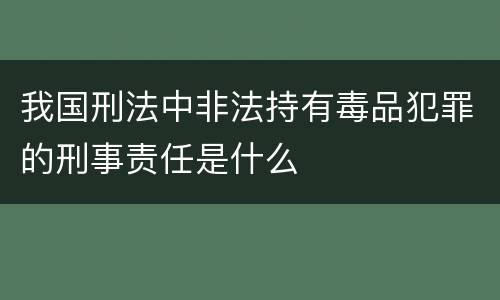 我国刑法中非法持有毒品犯罪的刑事责任是什么