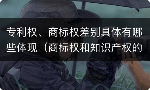 专利权、商标权差别具体有哪些体现（商标权和知识产权的区别）