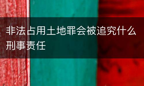 非法占用土地罪会被追究什么刑事责任