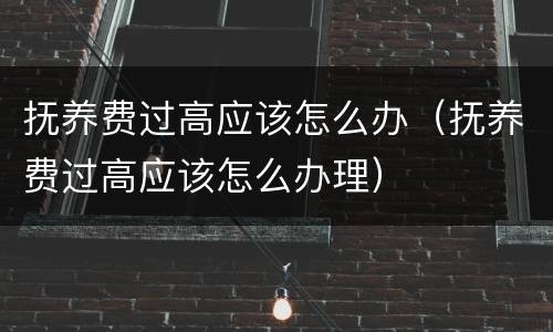 抚养费过高应该怎么办（抚养费过高应该怎么办理）